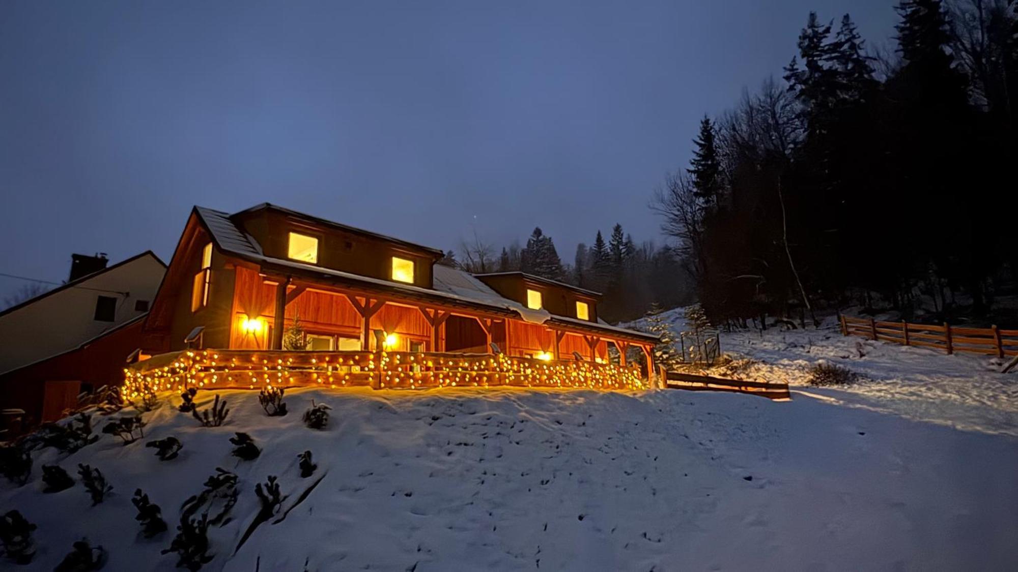 Gosciejowka Na Skraju Lasu Wisla Bagian luar foto